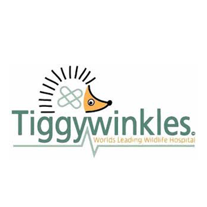 Tiggywinkles