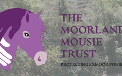 Thank you from The Moorland Mousie Trust