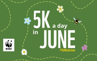 5k a day in June for WWF