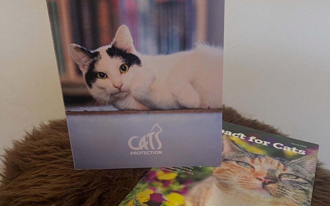 We received a lovely thank you from Cats Protection