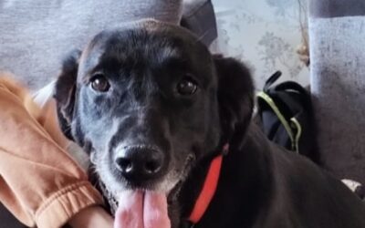 We made a donation to Angel after being made aware of a very sad story