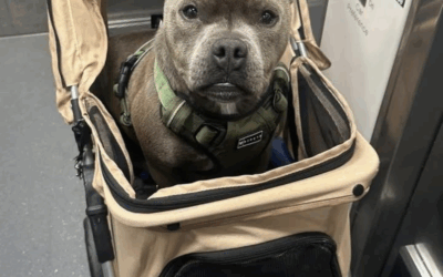 We sent a special food package to Louie