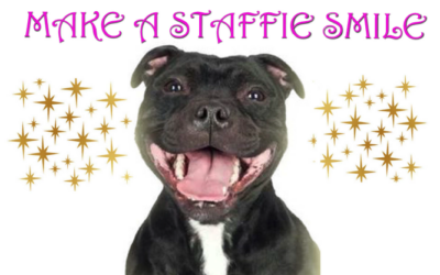 We sponsored a long term foster dog.