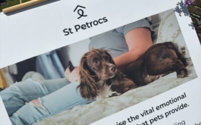 We attended the St Petrocs Summer Celebration