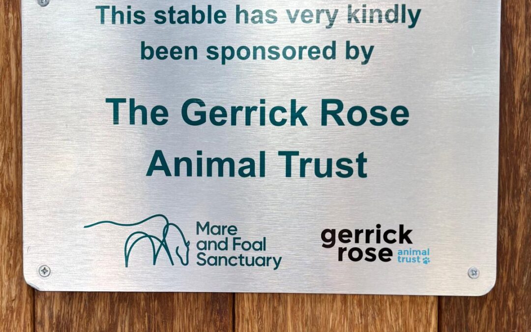 We sponsored a stable at the Mare and Foal Sanctuary